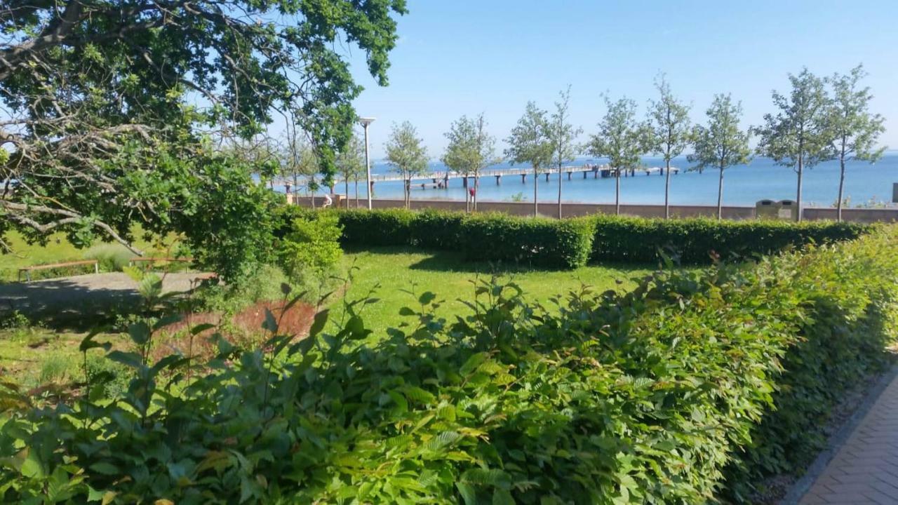 Villa Mia Nr 1 Mit Terrasse Eg 1 Raum Wohnung Goehren  Eksteriør billede